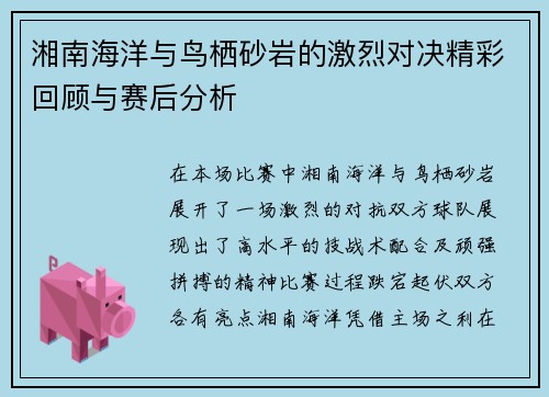 湘南海洋与鸟栖砂岩的激烈对决精彩回顾与赛后分析